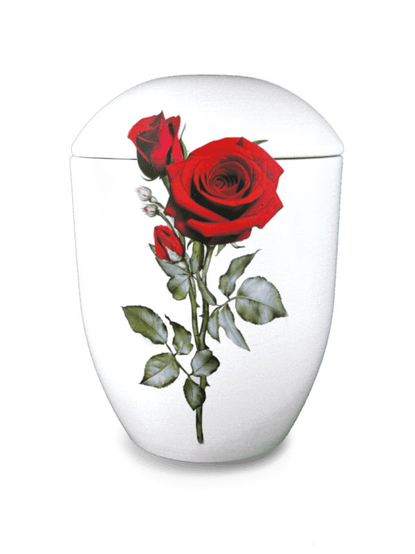 Seeurne_Rose_Rot_AP-97.png